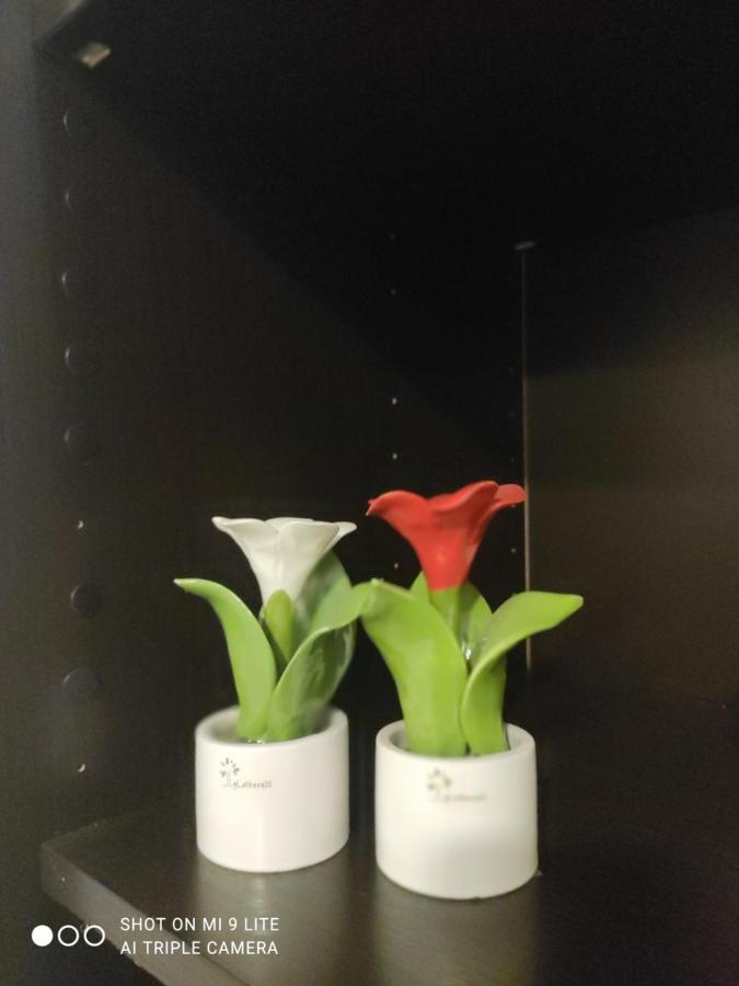 Apartament Zia Rose Neapol Zewnętrze zdjęcie
