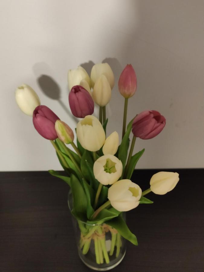 Apartament Zia Rose Neapol Zewnętrze zdjęcie
